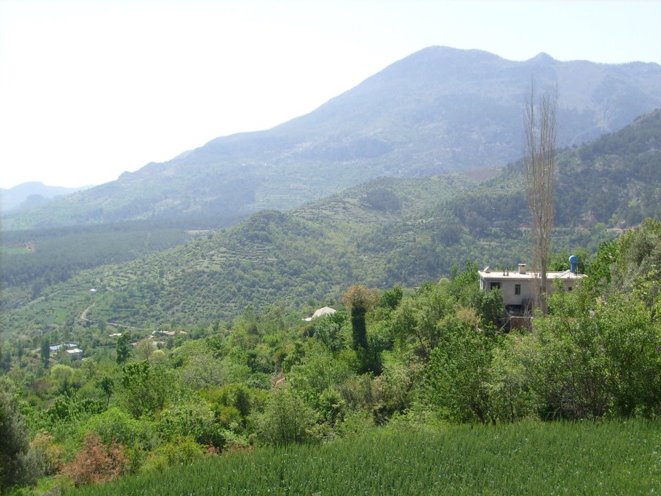 Antalya Gazipaşa Şahinler Köyü Resimleri 22