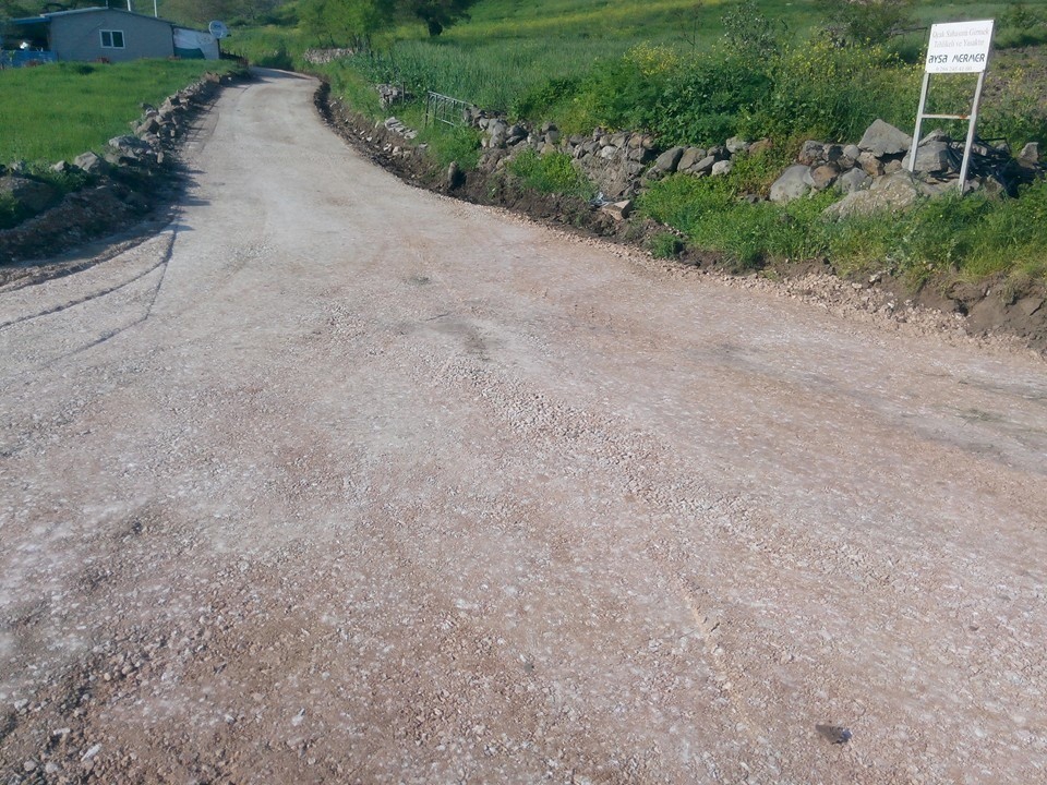 Altıeylül Dallımandıra Köyü Resimleri 1