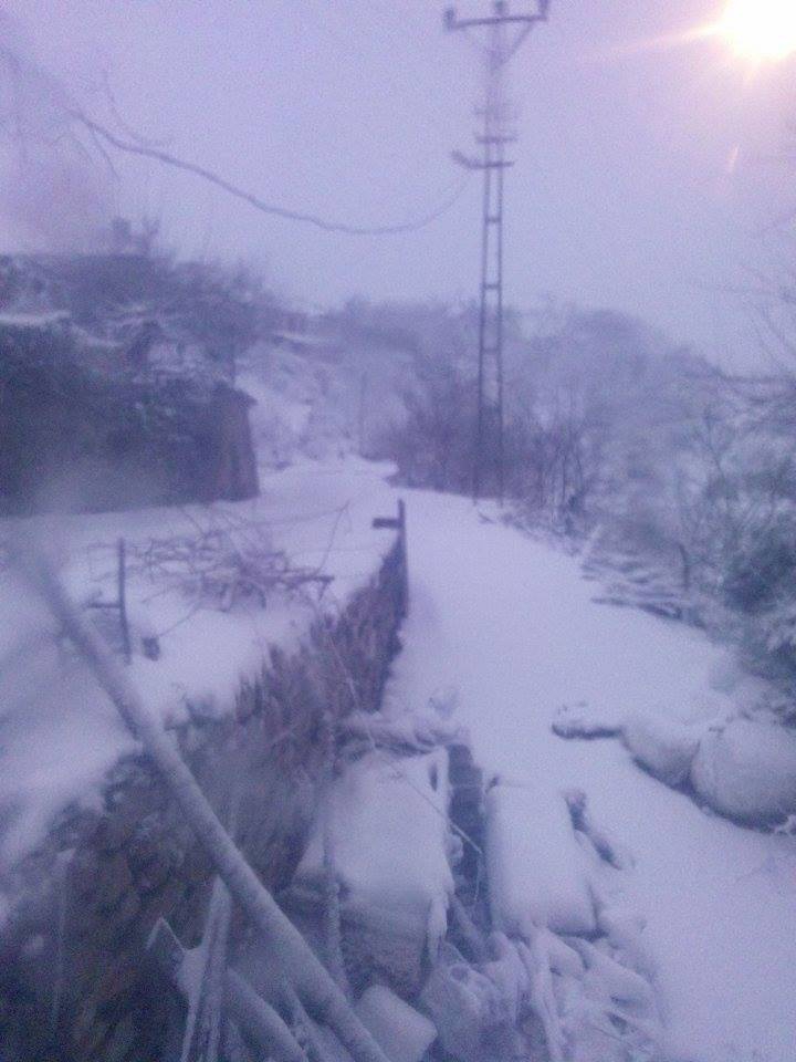 Altıeylül Dedeburnu Köyü Resimleri 3