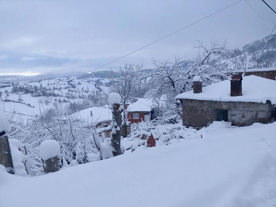 Altıeylül Dedeburnu Köyü Resimleri 6