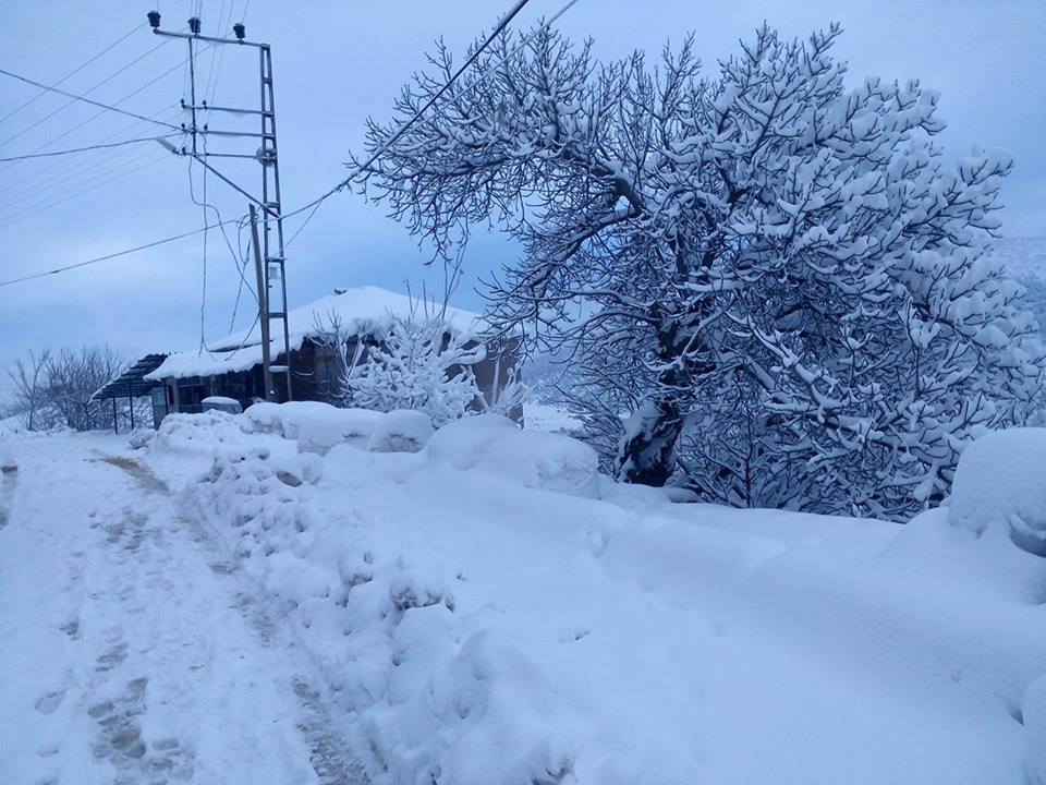 Altıeylül Dedeburnu Köyü Resimleri 7