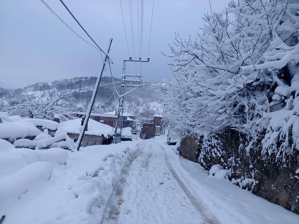 Altıeylül Dedeburnu Köyü Resimleri 8