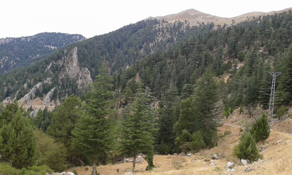 Antalya Gündoğmuş Narağacı Köyü Resimleri 1