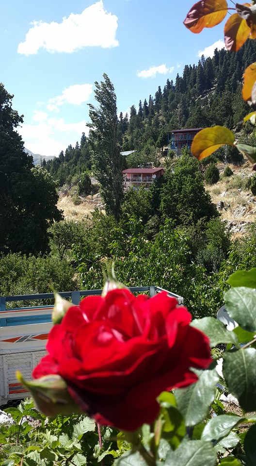 Antalya Gündoğmuş Narağacı Köyü Resimleri 17