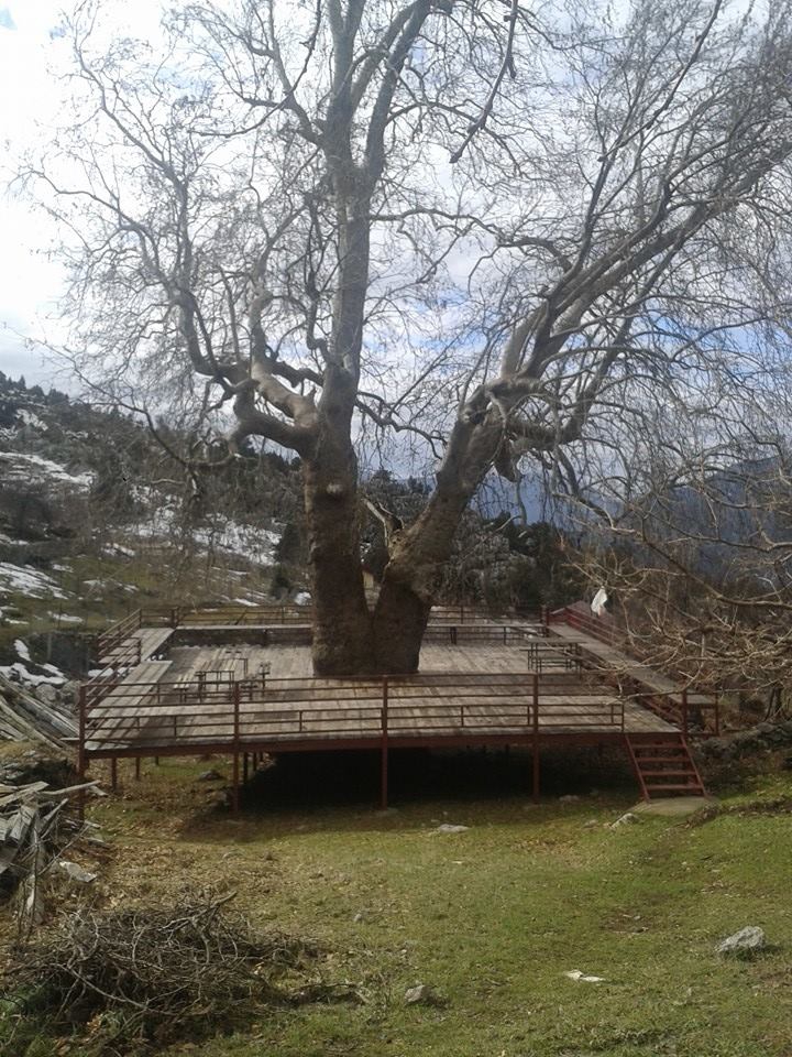 Antalya Gündoğmuş Narağacı Köyü Resimleri 25
