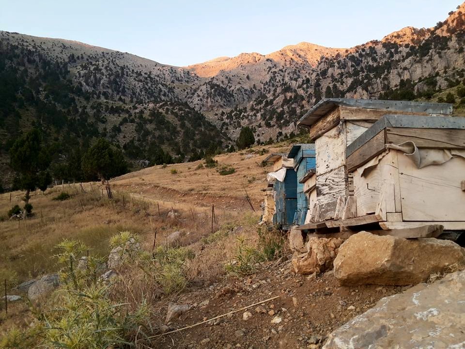 Antalya Gündoğmuş Narağacı Köyü Resimleri 28