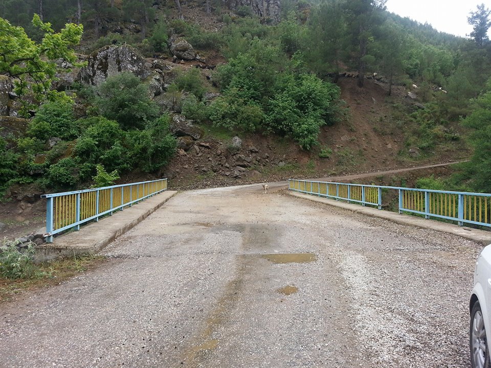 Antalya Gündoğmuş Narağacı Köyü Resimleri 35