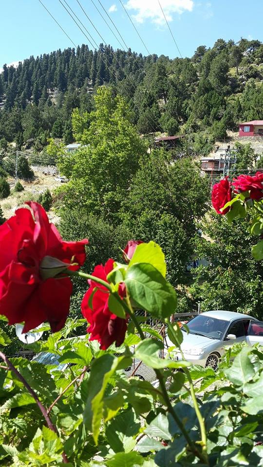 Antalya Gündoğmuş Narağacı Köyü Resimleri 9