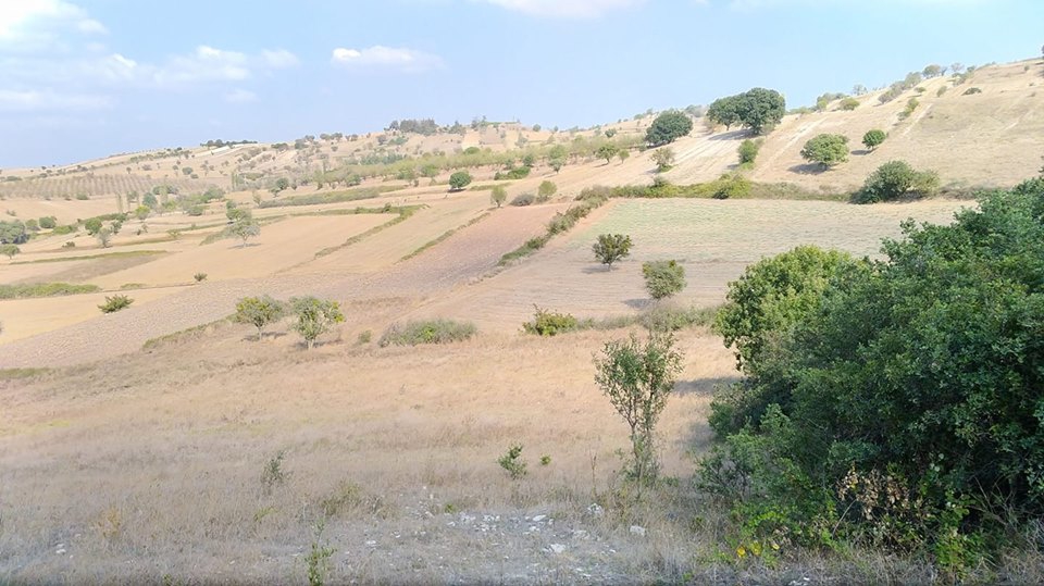Altıeylül Kabaklı Köyü Resimleri 3