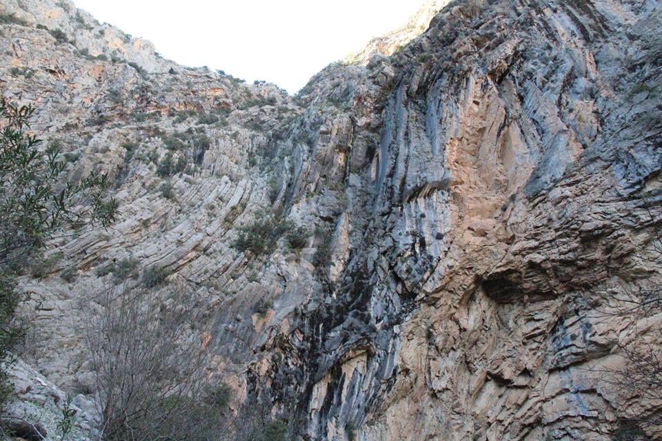 Antalya İbradı-Ürünlü-Düğmeli Evler Ormana Köyü 7