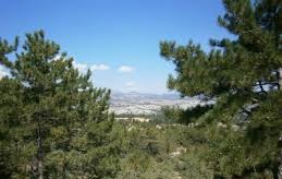 Seben Güneyce Köyü Resimleri 1