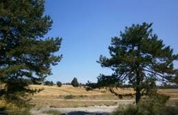 Seben Güneyce Köyü Resimleri 2