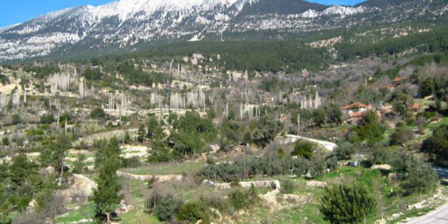 Antalya Kaş Gürsu Köyü Resimleri