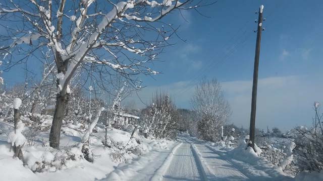 Bolu Ağaççılar Köyü Resimleri 10