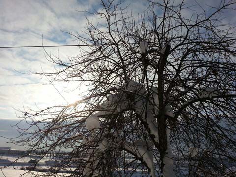 Bolu Ağaççılar Köyü Resimleri 8