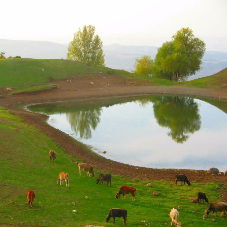 Çorum Sungurlu Göller Köyü Resimleri 2