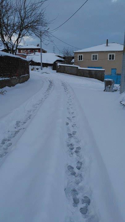 Altıeylül Ortamandıra Köyü Resimleri 2