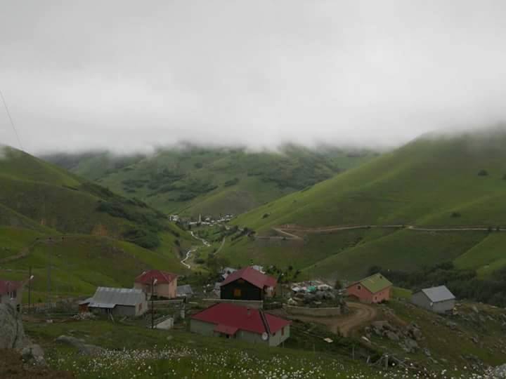 Kürtün Tilkicek Köyü Resimleri 2
