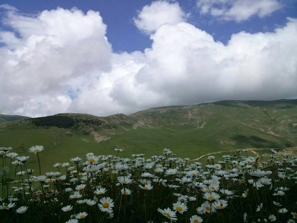 Kürtün Tilkicek Köyü Resimleri 4