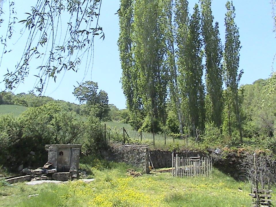 Balya Çamavşar Köyü Resimleri 6