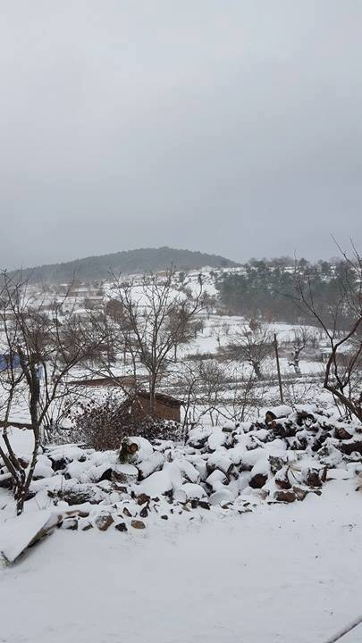 Balya Çamucu Köyü Resimleri 1