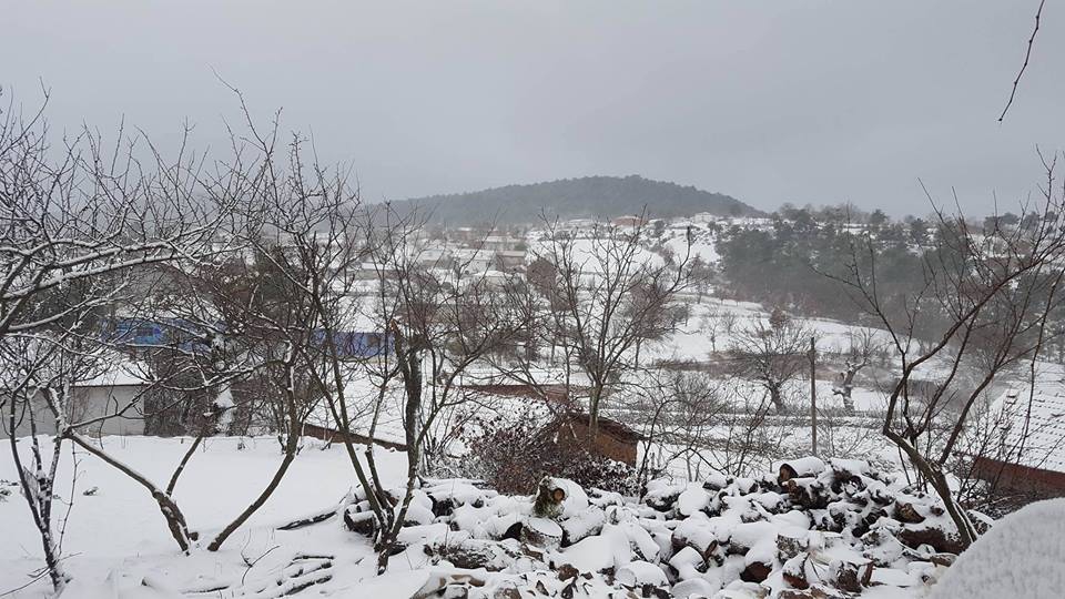 Balya Çamucu Köyü Resimleri 2