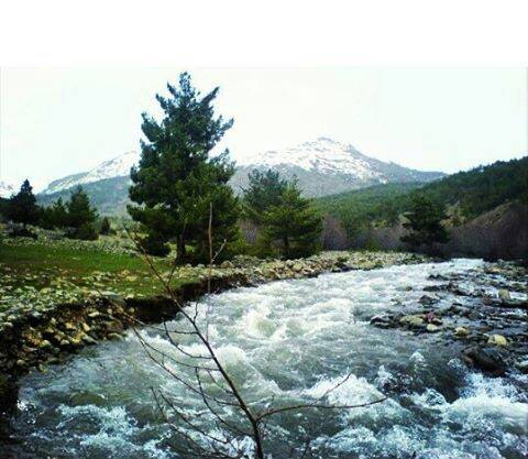 Şiran  Övünce  Köyü Resimleri 2