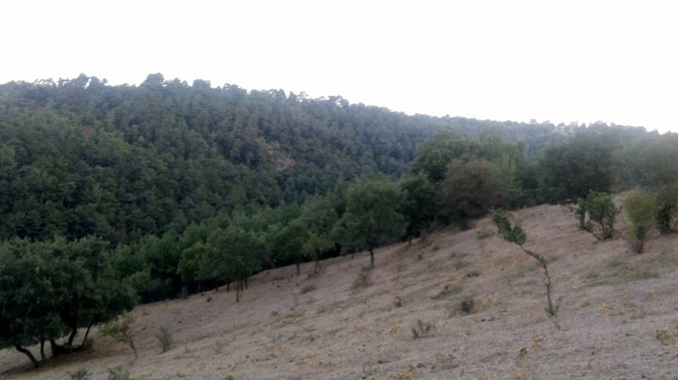 Balya Doğanlar Köyü Resimleri 4