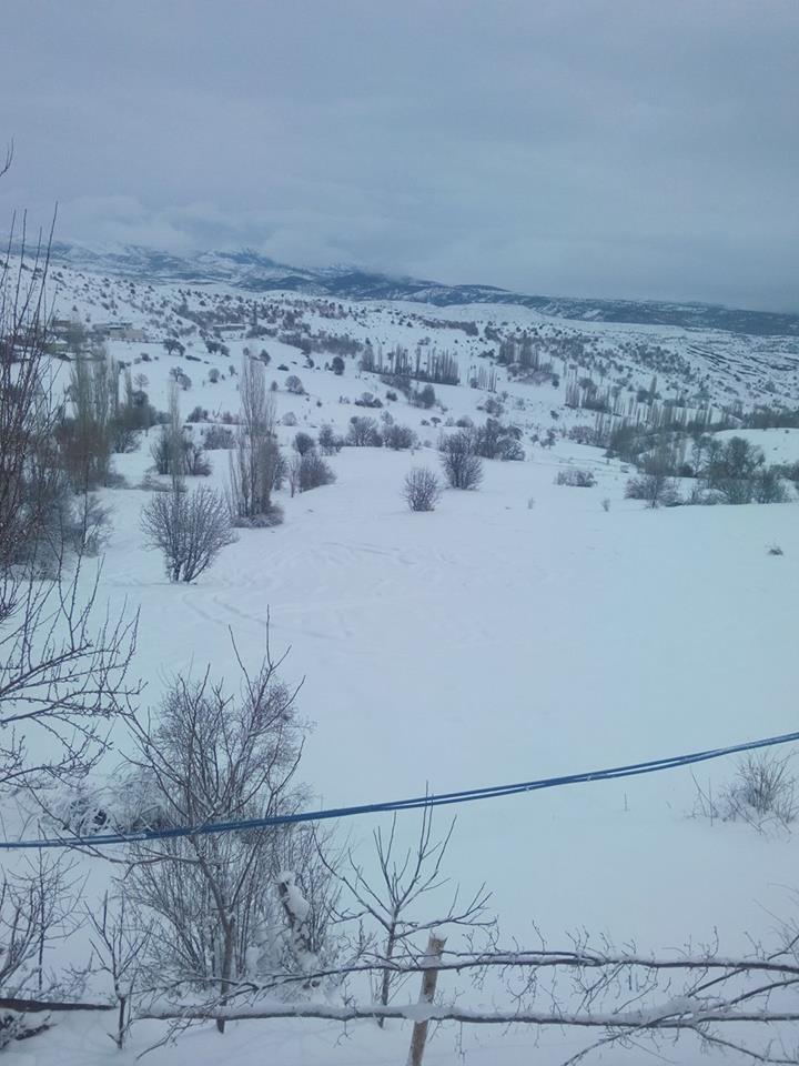 Şiran Akyayla Köyü Resimleri 3