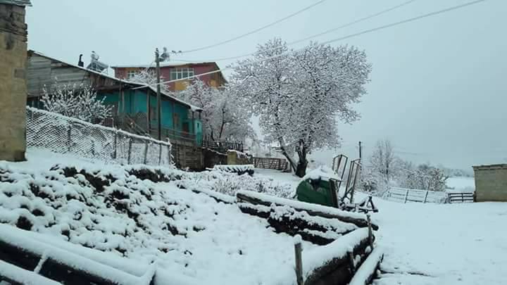 Şiran Alacahan Köyü Resimleri 3