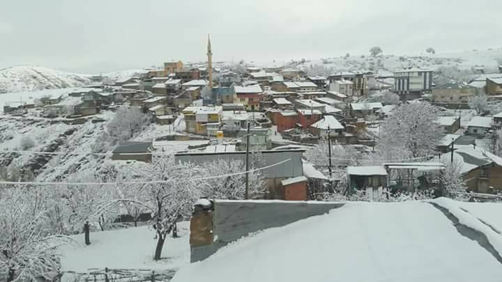 Şiran Alacahan Köyü Resimleri 4