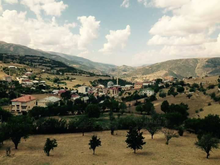 Şiran Alacahan Köyü Resimleri 5