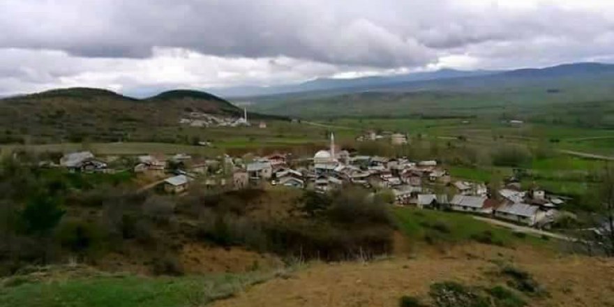 Şiran Alacahan Köyü Resimleri