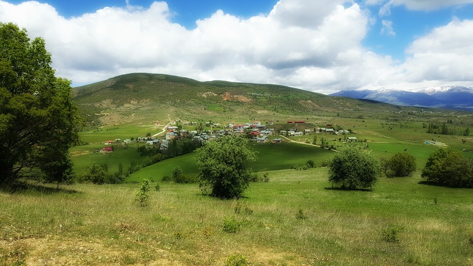 Şiran Alıç Köyü Resimleri 3