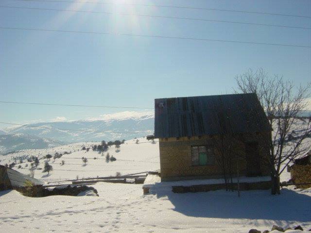 Şiran Alıç Köyü Resimleri 4