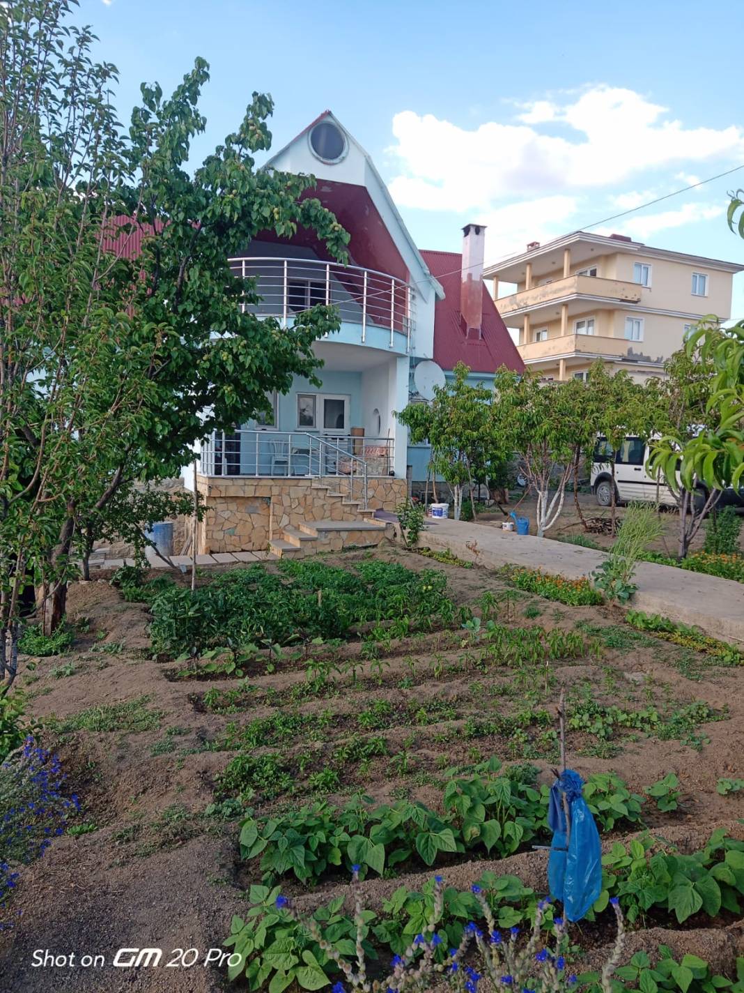 Şiran Alıç Köyü Resimleri 7