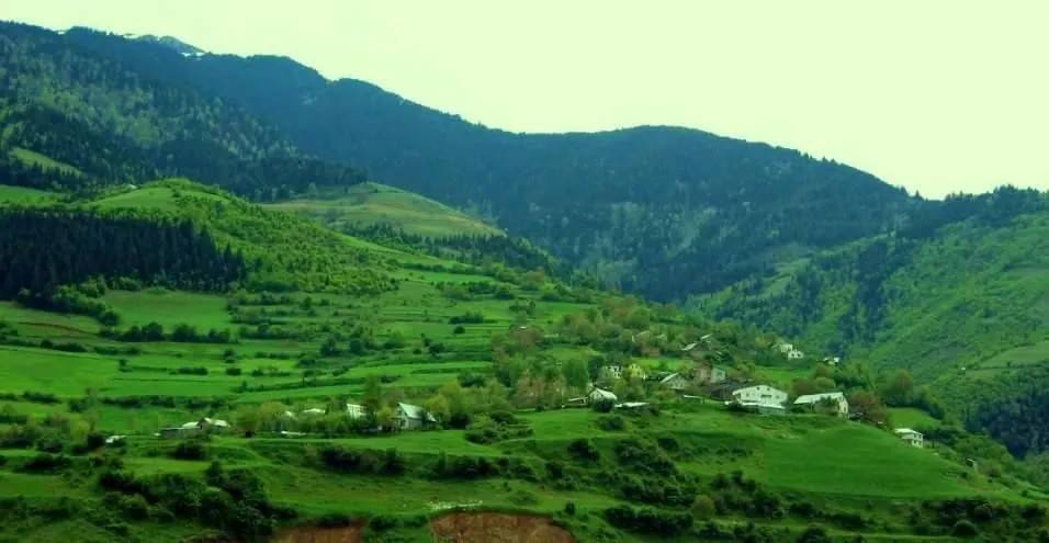 Şiran Araköy Köyü Resimleri 1