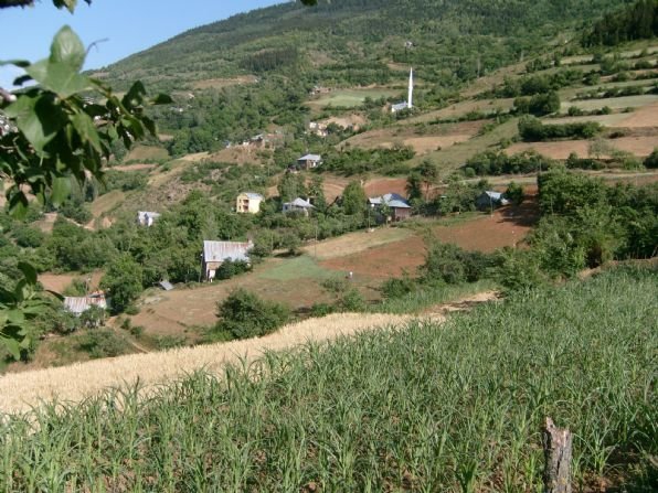 Şiran Araköy Köyü Resimleri 3