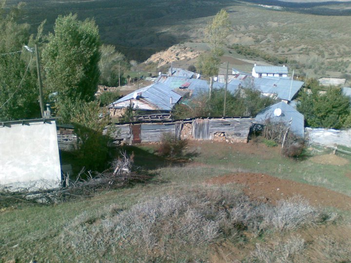 Şiran Ardıçlı Köyü Resimleri 1