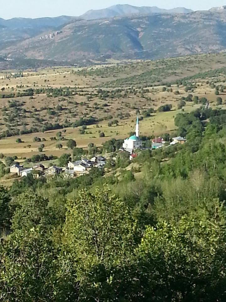 Şiran Ardıçlı Köyü Resimleri 4