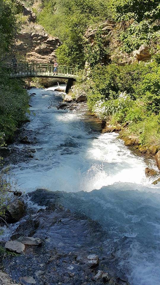 Şiran Arıtaş Köyü Resimleri 4