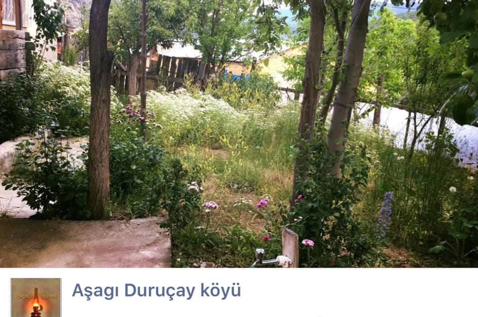 Şiran Aşağıduruçay Köyü Resimleri 1