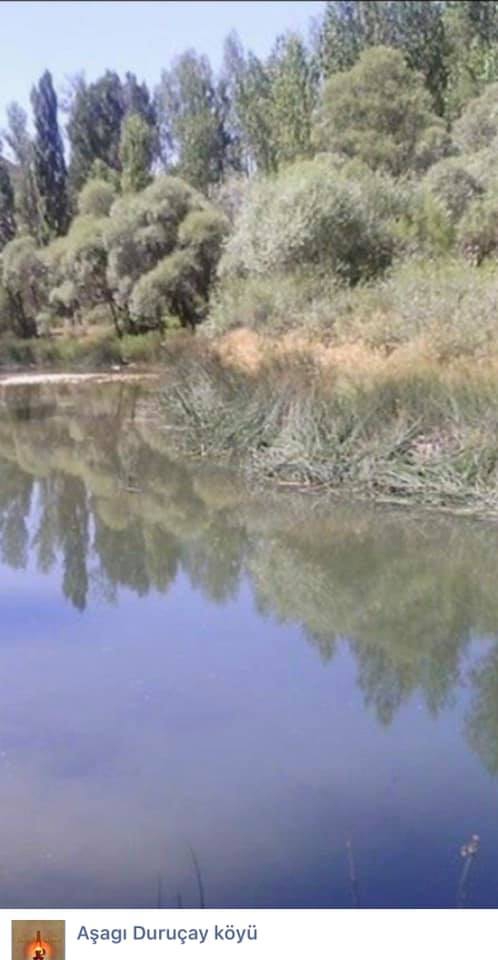 Şiran Aşağıduruçay Köyü Resimleri 3