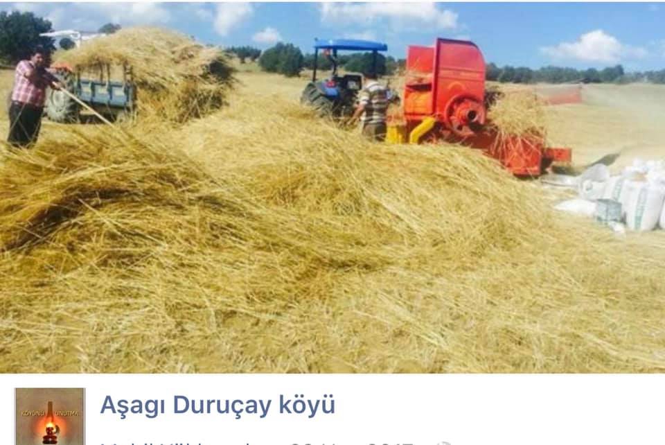 Şiran Aşağıduruçay Köyü Resimleri 4