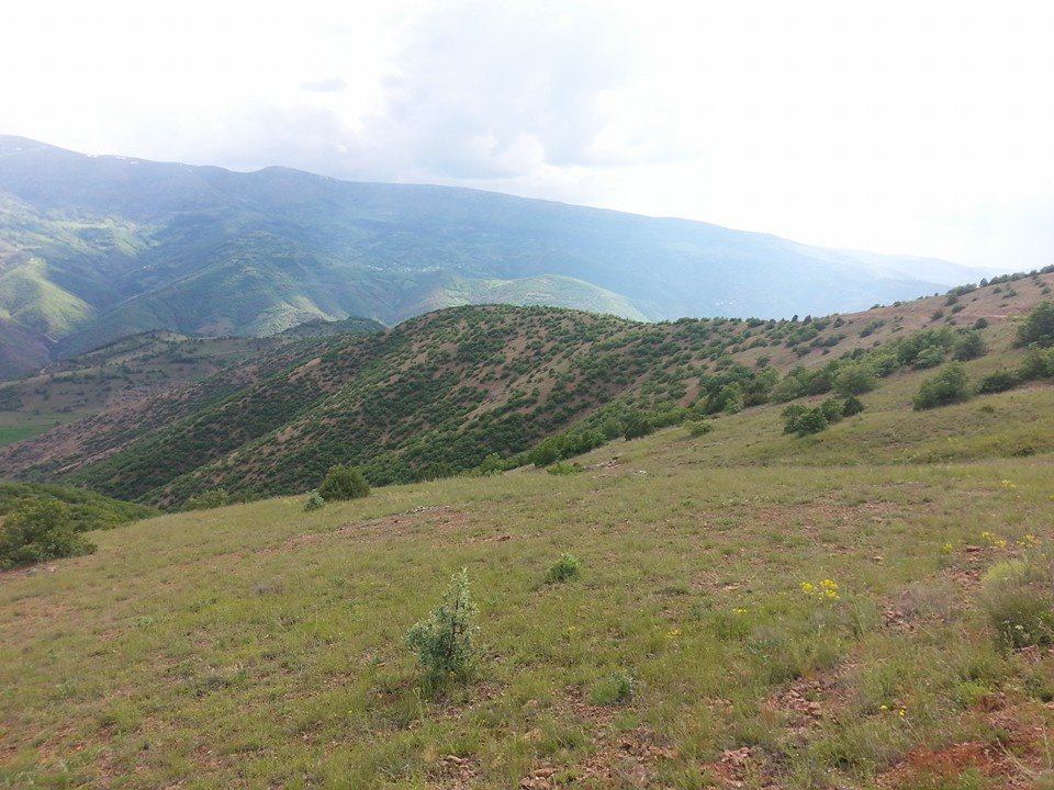 Şiran Babacan Köyü Resimleri 3