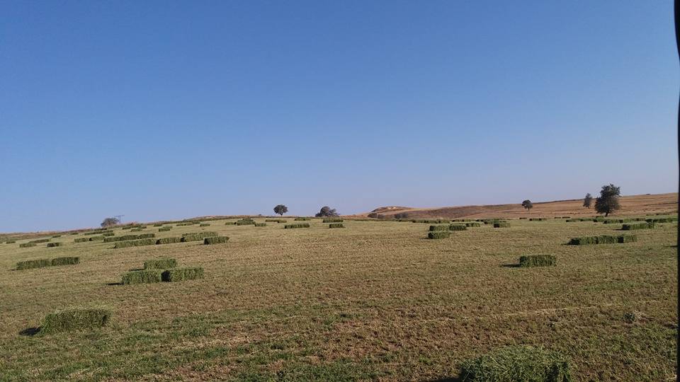 Balya Göktepe Köyü Resimleri 1