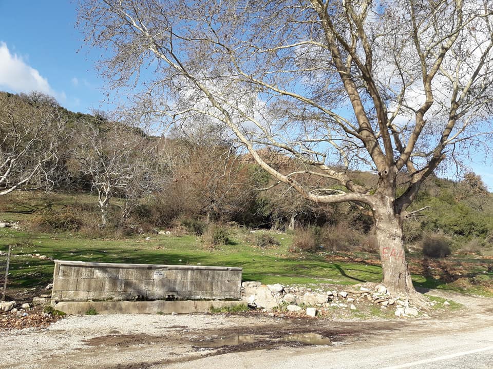 Balya Göktepe Köyü Resimleri 2