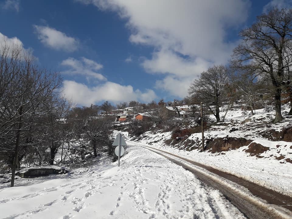 Balya Göktepe Köyü Resimleri 4