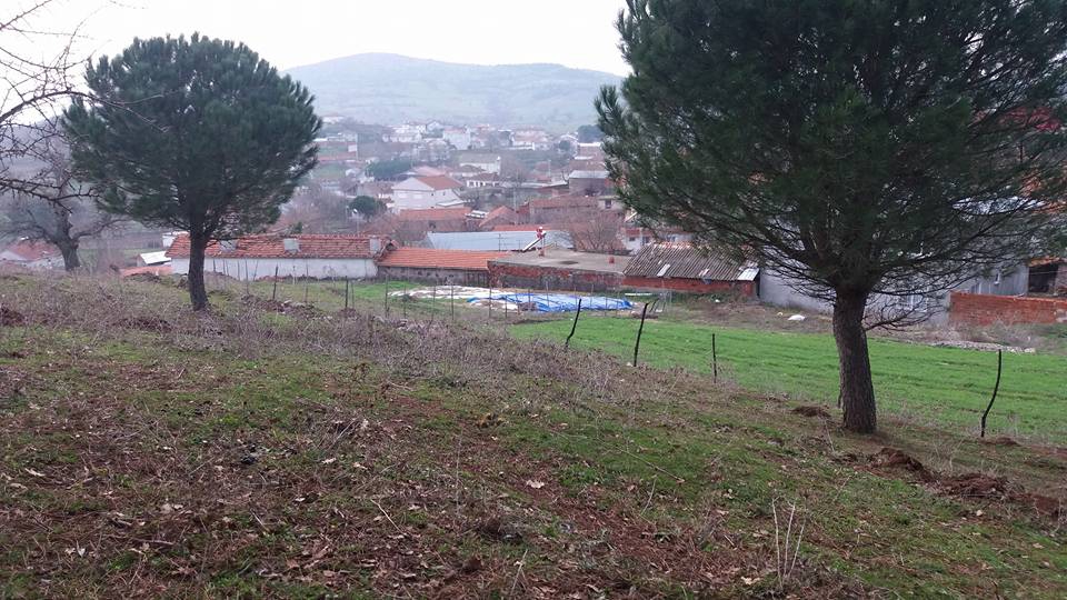 Balya Hacıhüseyin Köyü Resimleri 2