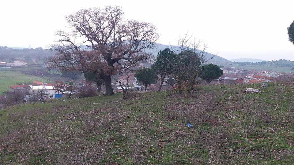 Balya Hacıhüseyin Köyü Resimleri 4